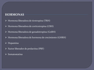 HORMONAS
 Hormona liberadora de tirotropina (TRH)
 Hormona liberadora de corticotropina (CRH)
 Hormona liberadora de gonadotropina (GnRH)
 Hormona liberadora de hormona de crecimiento (GHRH)
 Dopamina
 Factor liberador de prolactina (PRF)
 Somatostatina

 