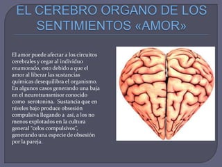 El amor puede afectar a los circuitos
cerebrales y cegar al individuo
enamorado, esto debido a que el
amor al liberar las sustancias
químicas desequilibra el organismo.
En algunos casos generando una baja
en el neurotransmisor conocido
como serotonina. Sustancia que en
niveles bajo produce obsesión
compulsiva llegando a así, a los no
menos explotados en la cultura
general “celos compulsivos”,
generando una especie de obsesión
por la pareja.

 