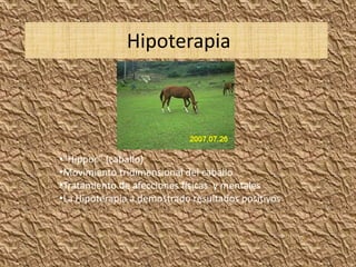 Hipoterapia




•“Hippoc” (caballo)
•Movimiento tridimensional del caballo
•Tratamiento de afecciones físicas y mentales
•La Hipoterapia a demostrado resultados positivos
 