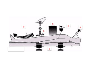 F	
  
D	
  
C	
  
E	
  
A	
  
B	
  
D	
  
 