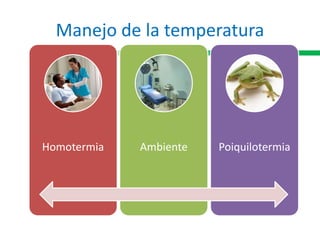 Manejo de la temperatura
Homotermia Ambiente Poiquilotermia
 