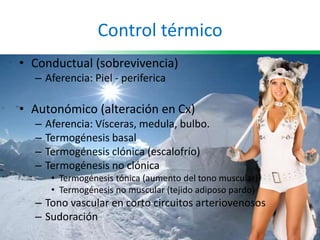 Control térmico
• Conductual (sobrevivencia)
– Aferencia: Piel - periferica
• Autonómico (alteración en Cx)
– Aferencia: Vísceras, medula, bulbo.
– Termogénesis basal
– Termogénesis clónica (escalofrío)
– Termogénesis no clónica
• Termogénesis tónica (aumento del tono muscular)
• Termogénesis no muscular (tejido adiposo pardo)
– Tono vascular en corto circuitos arteriovenosos
– Sudoración
 