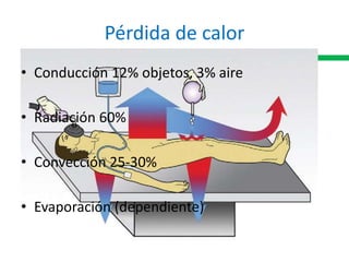 Pérdida de calor
• Conducción 12% objetos, 3% aire
• Radiación 60%
• Convección 25-30%
• Evaporación (dependiente)
 