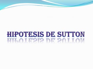 HIPOTESIS DE SUTTON