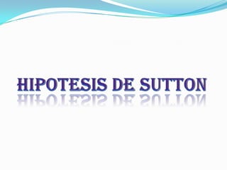 HIPOTESIS DE SUTTON 