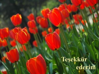 Teşekkür
                               ederim
Institute of Medicine Report, November 2010
 