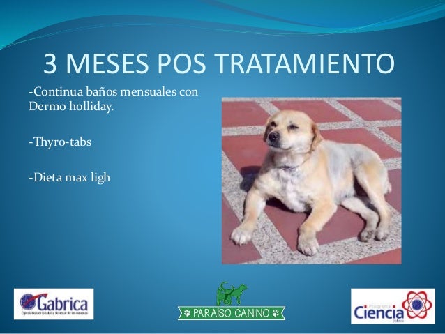 Que debo tomar para perder grasa abdominal image 8