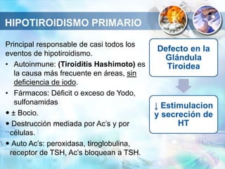 Principal responsable de casi todos los
eventos de hipotiroidismo.
• Autoinmune: (Tiroiditis Hashimoto) es
la causa más frecuente en áreas, sin
deficiencia de iodo.
• Fármacos: Déficit o exceso de Yodo,
sulfonamidas
 ± Bocio.
 Destrucción mediada por Ac’s y por
células.
 Auto Ac’s: peroxidasa, tiroglobulina,
receptor de TSH, Ac’s bloquean a TSH.
HIPOTIROIDISMO PRIMARIO
 