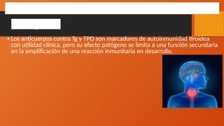 •Los anticuerpos contra Tg y TPO son marcadores de autoinmunidad tiroidea
con utilidad clínica, pero su efecto patógeno se limita a una función secundaria
en la amplificación de una reacción inmunitaria en desarrollo.
HIPOTIROIDISMO AUTOINMUNITARIO
Patogenia
 