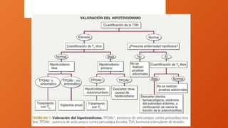 Estudios de laboratorio
 
