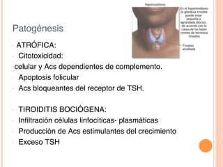 Patogénesis!
•  ATRÓFICA: !
•  Citotoxicidad:!
celular y Acs dependientes de complemento.!
•  Apoptosis folicular!
•  Acs bloqueantes del receptor de TSH.!
!
•  TIROIDITIS BOCIÓGENA:!
•  Inﬁltración células linfocíticas- plasmáticas!
•  Producción de Acs estimulantes del crecimiento !
•  Exceso TSH!
 