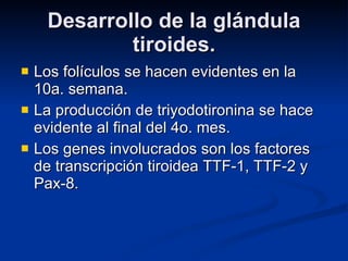 Desarrollo de la glándula tiroides. Los folículos se hacen evidentes en la 10a. semana. La producción de triyodotironina se hace evidente al final del 4o. mes. Los genes involucrados son los factores de transcripción tiroidea TTF-1, TTF-2 y Pax-8. 