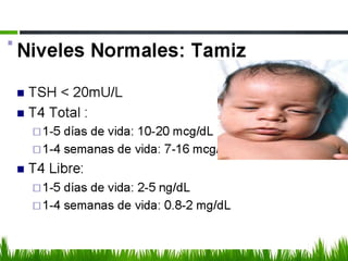 132CLASIFICACION1,2 Y 3?... AHH TAMARINDO!!!