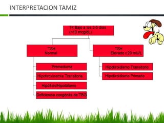 HIPOTIROIDISMO PRIMARIO