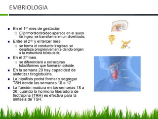 Retardo de > 24 horas primeras heces