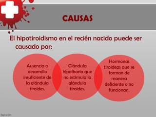 CAUSAS

El hipotiroidismo en el recién nacido puede ser
  causado por:

                                           Hormonas
       Ausencia o        Glándula       tiroideas que se
       desarrollo     hipofisaria que      forman de
    insuficiente de   no estimula la         manera
      la glándula        glándula       deficiente o no
        tiroides.         tiroides.        funcionan.
 