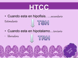 HTCC
• Cuando esta en hipofisis. …secundario
Estimulante
• Cuando esta en hipotalamo…terciario
• liberadora
 