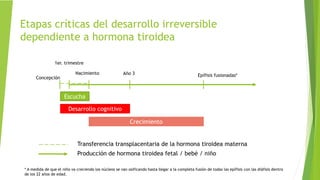Etapas críticas del desarrollo irreversible
dependiente a hormona tiroidea
Escucha
Desarrollo cognitivo
Crecimiento
Transferencia transplacentaria de la hormona tiroidea materna
Producción de hormona tiroidea fetal / bebé / niño
Concepción
1er. trimestre
Nacimiento Año 3 Epífisis fusionadas*
* A medida de que el niño va creciendo los núcleos se van osificando hasta llegar a la completa fusión de todas las epífisis con las diáfisis dentro
de los 22 años de edad.
 