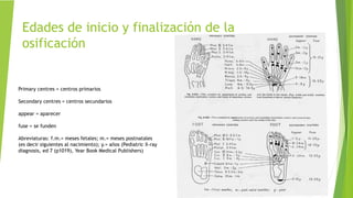 Edades de inicio y finalización de la
osificación
Primary centres = centros primarios
Secondary centres = centros secundarios
appear = aparecer
fuse = se funden
Abreviaturas: f.m.= meses fetales; m.= meses postnatales
(es decir siguientes al nacimiento); y.= años (Pediatric X-ray
diagnosis, ed 7 (p1019), Year Book Medical Publishers)
 
