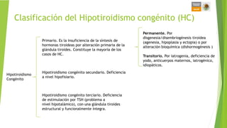 Clasificación del Hipotiroidismo congénito (HC)
Hipotiroidismo
Congénito
Primario. Es la insuficiencia de la síntesis de
hormonas tiroideas por alteración primaria de la
glándula tiroides. Constituye la mayoría de los
casos de HC.
Hipotiroidismo congénito secundario. Deficiencia
a nivel hipofisiario.
Hipotiroidismo congénito terciario. Deficiencia
de estimulación por TSH (problema a
nivel hipotalámico), con una glándula tiroides
estructural y funcionalmente íntegra.
Permanente. Por
disgenesia/disembriogénesis tiroidea
(agenesia, hipoplasia y ectopia) o por
alteración bioquímica (dishormogénesis )
Transitorio. Por iatrogenia, deficiencia de
yodo, anticuerpos maternos, iatrogénico,
idiopáticos.
 