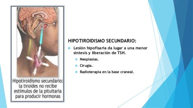 De la crema para el aumento del pecho es nocivo o no