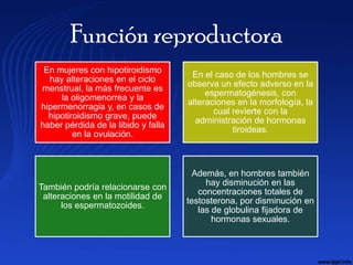 Función reproductora
 En mujeres con hipotiroidismo
                                      En el caso de los hombres se
  hay alteraciones en el ciclo
                                     observa un efecto adverso en la
menstrual, la más frecuente es
                                          espermatogénesis, con
     la oligomenorrea y la
                                     alteraciones en la morfología, la
hipermenorragia y, en casos de
                                            cual revierte con la
  hipotiroidismo grave, puede
                                       administración de hormonas
haber pérdida de la libido y falla
                                                 tiroideas.
         en la ovulación.



                                       Además, en hombres también
                                          hay disminución en las
También podría relacionarse con
                                        concentraciones totales de
 alteraciones en la motilidad de
                                     testosterona, por disminución en
      los espermatozoides.
                                        las de globulina fijadora de
                                            hormonas sexuales.
 