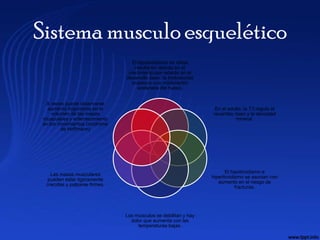 Sistema musculo esquelético
                                  El hipotiroidismo en niños
                                    resulta en retardo en el
                                 crecimiento por retardo en el
                                desarrollo óseo; la tirotoxicosis
                                  ocasiona una maduración
                                     acelerada del hueso.


  A veces puede observarse
   aumento importante en el                                          En el adulto, la T3 regula el
     volumen de las masas                                           recambio óseo y la densidad
 musculares y enlentecimiento                                                 mineral.
 en los movimientos (síndrome
         de Hoffmann)




                                                                           El hipotiroidismo e
    Las masas musculares
                                                                    hipertiroidismo se asocian con
   pueden estar ligeramente
                                                                       aumento en el riesgo de
  crecidas y palparse firmes.
                                                                                fracturas.




                                Los músculos se debilitan y hay
                                  dolor que aumenta con las
                                     temperaturas bajas.
 