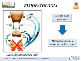 FISIOPATOLOGÍA
Defecto de la
glándula
Alteración síntesis y
secreción de hormonas
- Torres M, Coserria M. Hipotiroidismo. Medicine. 2012;11(14):819-26.
HIPOTIROIDISMO PRIMARIO
 