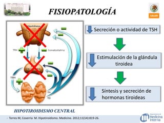 FISIOPATOLOGÍA
- Torres M, Coserria M. Hipotiroidismo. Medicine. 2012;11(14):819-26.
HIPOTIROIDISMO CENTRAL
Secreción o actividad de TSH
Estimulación de la glándula
tiroidea
Síntesis y secreción de
hormonas tiroideas
 