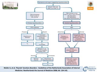 HIPOTIROIDISMO CENTRAL
Muller A, et al. Thyroid function disorders - Guidelines of the Netherlands Association of Internal
Medicine. Neetherlands the Journal of Medicine 2008; 66: 134-142.
 