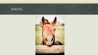 GRACIAS
 