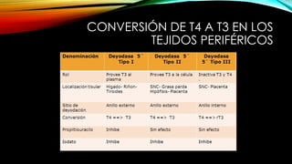 CONVERSIÓN DE T4 A T3 EN LOS
TEJIDOS PERIFÉRICOS
 
