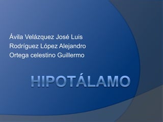 Hipotálamo Ávila Velázquez José Luis Rodríguez López Alejandro Ortega celestino Guillermo 