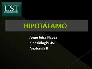 Jorge Juica Navea
Kinesiología UST
Anatomía II
 