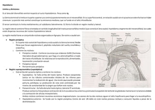 Hipotálamo
Límites y divisiones
Es el área del diencéfalo ventral respecto al surco hipotalámico. Pesa como 4g.
La láminaterminal lolimitaenlaparte superioryse continúaposteriormenteconel mesencéfalo.Ensusuperficieventral, enrelacióncaudal conel quiasmase esterchahaciael tuber
cinereum. La porción más ventral constituye la eminencia mediana, que se funde en el tallo infundibular.
El tercer ventrículo lo limita medialmente y el subtálamo lateralmente. EL fórnix lo divide en región medial y lateral.
La regiónlateral contiene fibrasorientadasensentidolongitudinal del tractoprocencefálicomedial (que conectael áreaseptal,hipotálamoytegmentodel mesencéfalo);lascuales
están dispersas neuronas del núcleo hipotalámico lateral.
La regiónmedial tiene unconjuntode núcleosorganizadosen4grupos.De rostroa caudal son:
 Región preóptica
o Es laparte másrostral del hipotálamoyestácaudal alaláminaterminal.Recibe
fibras que llevan angiotensina II, péptidos inductores del sueño, encefalina y
endorfina.
o Contiene los núcleos:
 Preóptico medial.- Contiene neuronas que elaboran GnRH (hormona
liberadora de gonadotropina), que llega a la adrenohipófisis a través
del tractoinfundibular.Se relacionaconlareproducción,alimentación,
locomoción y excitación sexual.
 Preóptico lateral
 Periventricular preóptico
 Región supraquiasmática (supraóptica)
o Está arriba del quiasma óptico y contiene los núcleos:
 Supraóptico.- Se halla arriba del tracto óptico. Produce vasopresina
(actúa en los túbulos contorneados distales de los riñones para
incrementar la reabsorción de agua). Una lesiónaquí puede provocar
poliuria, polidipsia. La producción de esta está controlada por los
niveles de osmolaridad de la sangre que bañan este núcleo.
 Paraventricular.-Se halladorsalal tractoóptico,lateralal 3°ventrículo.
Produce oxitocina.Estaproduce contracciónde lamusculaturalisaunterinaypromuevelaexpulsiónde lechede lasglándulasmamariasenlalactanciadebido
a la contracción de células mioepiteliales.
Ambos núcleos contienen neuronas secretoras magnocelulares. Los axones de los dos núcleos siguen el tallo hipofisiario para llegar a la neurohipófisis.
 Hipotalámico anterior.- Se funde con la región preóptica. Centro de sed. UN daño en este núcleo provoca rechazo a consumir líquidos a pesar de la
deshidratación.
 