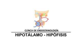 HIPOTÁLAMO - HIPÓFISIS
CLÍNCA DE ENDOCRINOLOGÍA
 