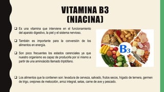 VITAMINA B3
(NIACINA)
 Es una vitamina que interviene en el funcionamiento
del aparato digestivo, la piel y el sistema nervioso.
 También es importante para la conversión de los
alimentos en energía.
 Son poco frecuentes los estados carenciales ya que
nuestro organismo es capaz de producirla por sí mismo a
partir de una aminoácido llamado triptófano.
 Los alimentos que la contienen son: levadura de cerveza, salvado, frutos secos, hígado de ternera, germen
de trigo, orejones de melocotón, arroz integral, setas, carne de ave y pescado.
 