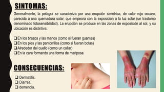 SINTOMAS:
CONSECUENCIAS:
Generalmente, la pelagra se caracteriza por una erupción simétrica, de color rojo oscuro,
parecida a una quemadura solar, que empeora con la exposición a la luz solar (un trastorno
denominado fotosensibilidad). La erupción se produce en las zonas de exposición al sol, y su
ubicación es distintiva:
En los brazos y las manos (como si fueran guantes)
En los pies y las pantorrillas (como si fueran botas)
Alrededor del cuello (como un collar)
En la cara formando una forma de mariposa
 Dermatitis.
 Diarrea.
 demencia.
 