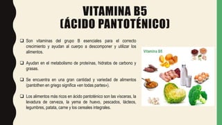 VITAMINA B5
(ÁCIDO PANTOTÉNICO)
 Son vitaminas del grupo B esenciales para el correcto
crecimiento y ayudan al cuerpo a descomponer y utilizar los
alimentos.
 Ayudan en el metabolismo de proteínas, hidratos de carbono y
grasas.
 Se encuentra en una gran cantidad y variedad de alimentos
(pantothen en griego significa «en todas partes»).
 Los alimentos más ricos en ácido pantoténico son las vísceras, la
levadura de cerveza, la yema de huevo, pescados, lácteos,
legumbres, patata, carne y los cereales integrales.
 