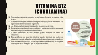 VITAMINA B12
(COBALAMINA)
 Es una vitamina que se encuentra en los huevos, la carne, el marismo y los
lácteos.
 Es imprescindible para la formación de glóbulos rojos, para el crecimiento y la
regeneración de los tejidos del organismo.
 Las dietas vegetarianas estrictas pueden favorecer su carencia.
 Su mecanismo de absorción es complicado y precisa una proteína segregada
por el estómago que se llama factor intrínseco.
 El déficit hereditario de esta proteína puede ocasionar un déficit de
cobalamina.
 Otros problemas de absorción intestinal pueden disminuir los niveles de
cobalamina como la celiaquía, parásitos intestinales o trastornos metabólicos.
 Se acumula en el hígado por lo que hay que estar periodos muy prolongados
sin su aporte en la dieta para que se produzca un déficit.
 