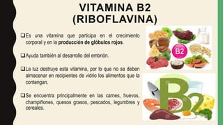 VITAMINA B2
(RIBOFLAVINA)
Es una vitamina que participa en el crecimiento
corporal y en la producción de glóbulos rojos.
Ayuda también al desarrollo del embrión.
La luz destruye esta vitamina, por lo que no se deben
almacenar en recipientes de vidrio los alimentos que la
contengan.
Se encuentra principalmente en las carnes, huevos,
champiñones, quesos grasos, pescados, legumbres y
cereales.
 