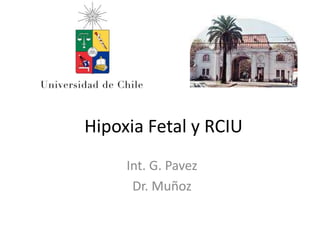 Hipoxia Fetal y RCIU
Int. G. Pavez
Dr. Muñoz
 