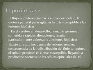 El flujo es preferencial hacia el troncoencéfalo, la corteza parietal parasagital es la más susceptible a las lesiones hipóxicas.  En el cerebro en desarrollo, la matriz germinal,  sometida a rápidas alteraciones, resulta particularmente vulnerable a lesiones hipóxicas. Existe una alta incidencia de lesiones renales, consecuencia de la redistribución del flujo sanguíneo; el túbulo proximal es el más susceptible, llegando a producirse necrosis de las células epiteliales del tú 
