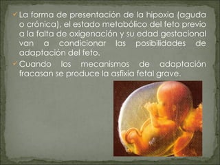 La forma de presentación de la hipoxia (aguda o crónica), el estado metabólico del feto previo a la falta de oxigenación y su edad gestacional van a condicionar las posibilidades de adaptación del feto. Cuando los mecanismos de adaptación fracasan se produce la asfixia fetal grave. 