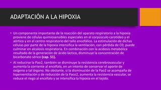 ADAPTACIÓN A LA HIPOXIA
• Un componente importante de la reacción del aparato respiratorio a la hipoxia
proviene de células quimiosensibles especiales en el corpúsculo carotídeo y el
aórtico y en el centro respiratorio del tallo encefálico. La estimulación de dichas
células por parte de la hipoxia intensifica la ventilación, con pérdida de C0; puede
culminar en alcalosis respiratoria. En combinación con la acidosis metabólica
resultado de la generación de ácido láctico, disminuye la concentración de
bicarbonato sérico (cap. 51).
• Al reducirse la Pao2, también se disminuye la resistencia cerebrovascular y
aumenta la corriente al encéfalo, en un intento de conservar el aporte de
oxígeno a tal órgano. No obstante, si la disminución de la Pao2 se acompaña de
hiperventilación y de reducción de la Paco2, aumenta la resistencia vascular, se
reduce el riego al encéfalo y se intensifica la hipoxia en el tejido.
 