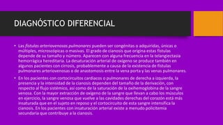 DIAGNÓSTICO DIFERENCIAL
• Las fístulas arteriovenosas pulmonares pueden ser congénitas o adquiridas, únicas o
múltiples, microscópicas o masivas. El grado de cianosis que origina estas fístulas
depende de su tamaño y número. Aparecen con alguna frecuencia en la telangiectasia
hemorrágica hereditaria. La desaturación arterial de oxígeno se produce también en
algunos pacientes con cirrosis, probablemente a causa de la existencia de fístulas
pulmonares arteriovenosas o de anastomosis entre la vena porta y las venas pulmonares.
• En los pacientes con cortocircuitos cardiacos o pulmonares de derecha a izquierda, la
presencia y la intensidad de la cianosis dependen del tamaño de la derivación, con
respecto al flujo sistémico, así como de la saturación de la oxihemoglobina de la sangre
venosa. Con la mayor extracción de oxígeno de la sangre que llevan a cabo los músculos
en ejercicio, la sangre venosa que vuelve a las cavidades derechas del corazón está más
insaturada que en el sujeto en reposo y el cortocircuito de esta sangre intensifica la
cianosis. En los pacientes con insaturación arterial existe a menudo policitemia
secundaria que contribuye a la cianosis.
 