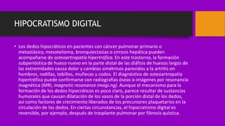 HIPOCRATISMO DIGITAL
• Los dedos hipocráticos en pacientes con cáncer pulmonar primario o
metastásico, mesotelioma, bronquiectasias o cirrosis hepática pueden
acompañarse de osteoartropatía hipertrófica. En este trastorno, la formación
subperióstica de hueso nuevo en la parte distal de las diáfisis de huesos largos de
las extremidades causa dolor y cambios simétricos parecidos a la artritis en
hombros, rodillas, tobillos, muñecas y codos. El diagnóstico de osteoartropatía
hipertrófica puede confirmarse con radiografías óseas o imágenes por resonancia
magnética (MRI, magnetic resonance imagi.ng). Aunque el mecanismo para la
formación de los dedos hipocráticos es poco claro, parece resultar de sustancias
humorales que causan dilatación de los vasos de la porción distal de los dedos,
así como factores de crecimiento liberados de los precursores plaquetarios en la
circulación de los dedos. En ciertas circunstancias, el hipocratismo digital es
reversible, por ejemplo, después de trasplante pulmonar por fibrosis quística.
 