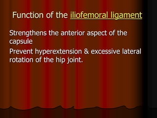 iliofemoral ligamentFunction of the
Strengthens the anterior aspect of the
capsule
Prevent hyperextension & excessive lateral
rotation of the hip joint.
 