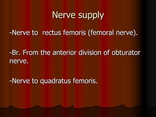 Nerve supply
-Nerve to rectus femoris (femoral nerve).
-Br. From the anterior division of obturator
nerve.
-Nerve to quadratus femoris.
 