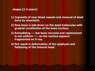 stages (2-3 years):
1) Ingrowth of new blood vessels and removal of dead
bone by steoclasts.
2) New bone is laid down on the dead trabeculae with
gradual constitution of the bone nucleus.
3) Remodeling --- but bone necrosis and replacement
is not uniform ---- so the nucleus appears
fragmented on X-ray.
4) Net result is deformation of the epiphysis and
flattening of the femoral head.
 